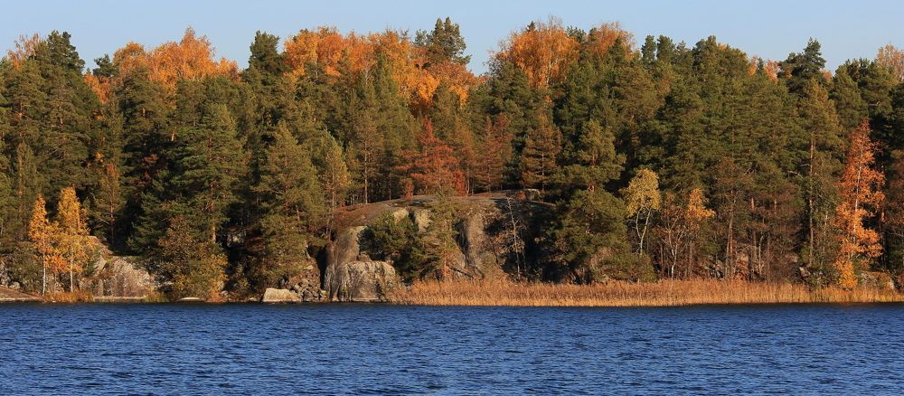 Photograph by Николай Кондаков