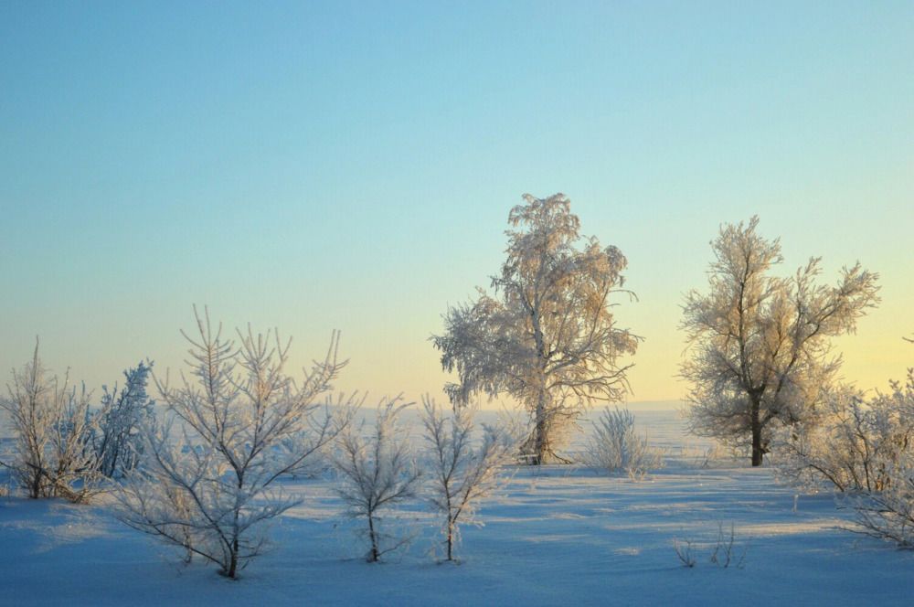 Морозная степь.