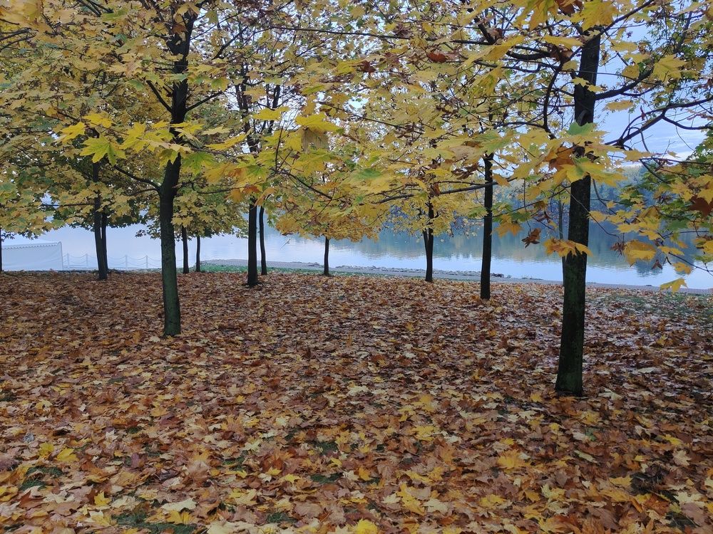 Photograph by Marina Green