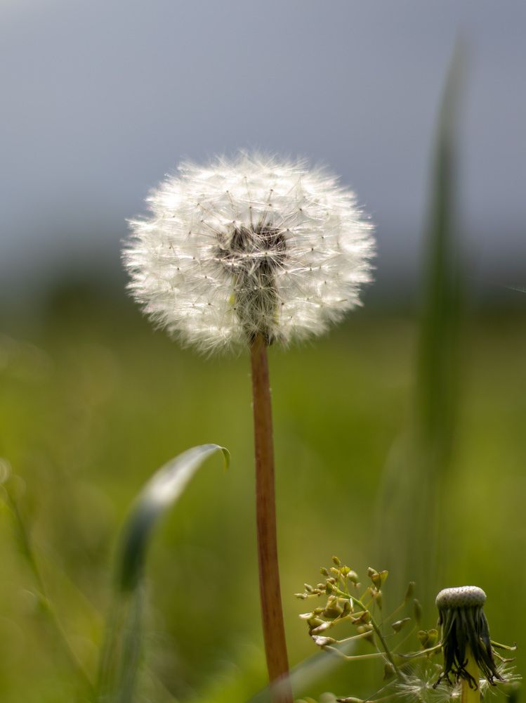 Photograph by Лия Маликова