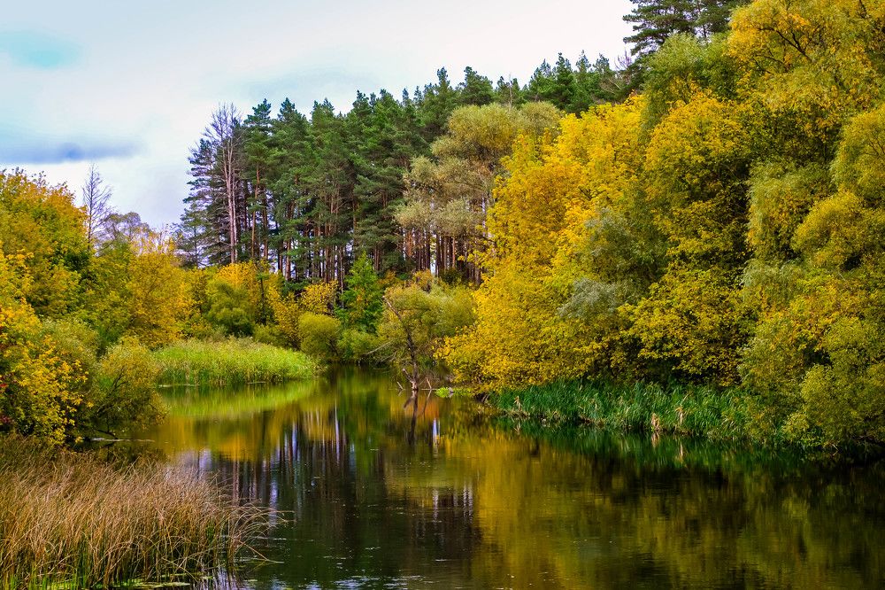 Photograph by Андрей Епишев