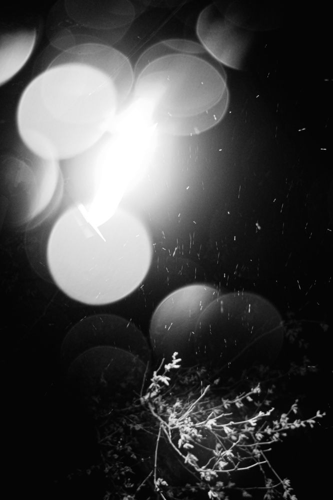 Photograph by Shahriyar Shybanie