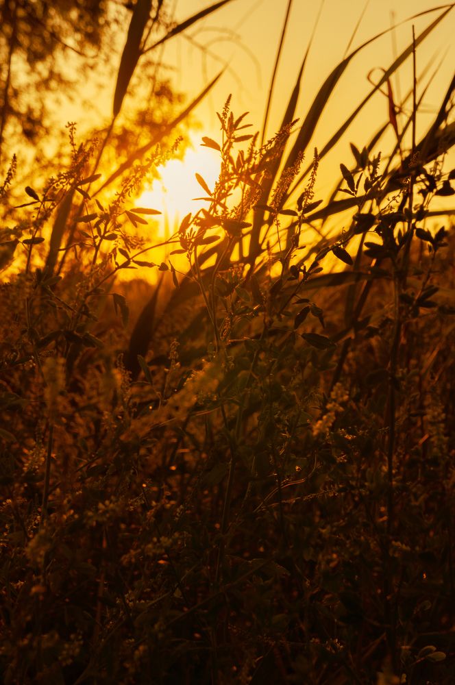 Photograph by Валентина Михайлова