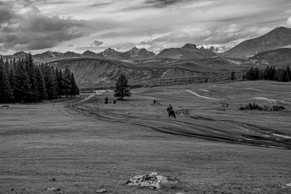 Photograph by Елена Павлова