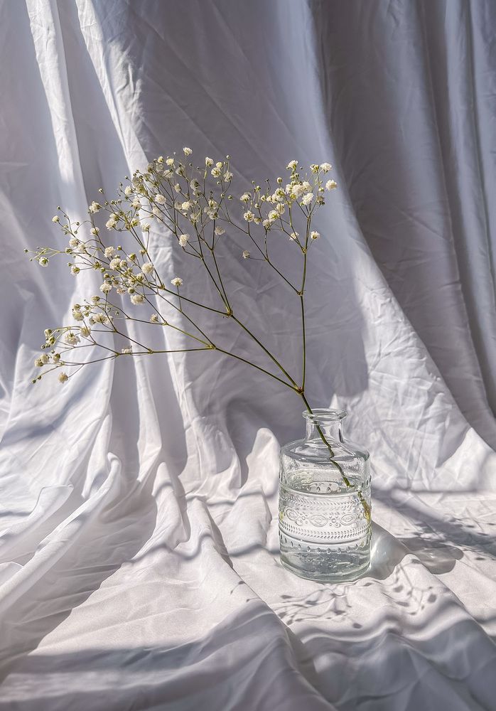 Photograph by Hanna Reid