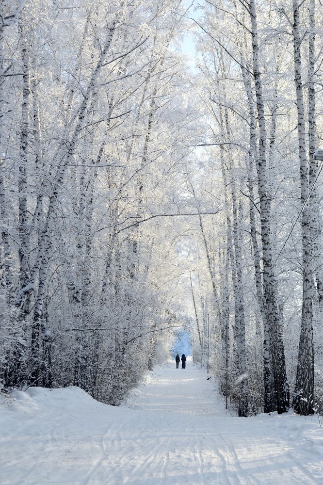 Photograph by Елена Гасенко