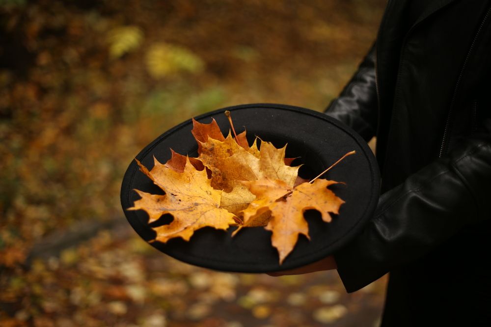 Photograph by Алсу Хусаинова