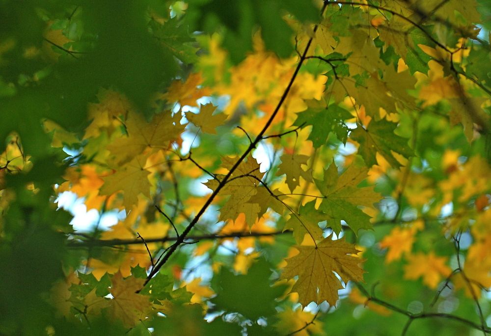 Photograph by Алексей Козлов