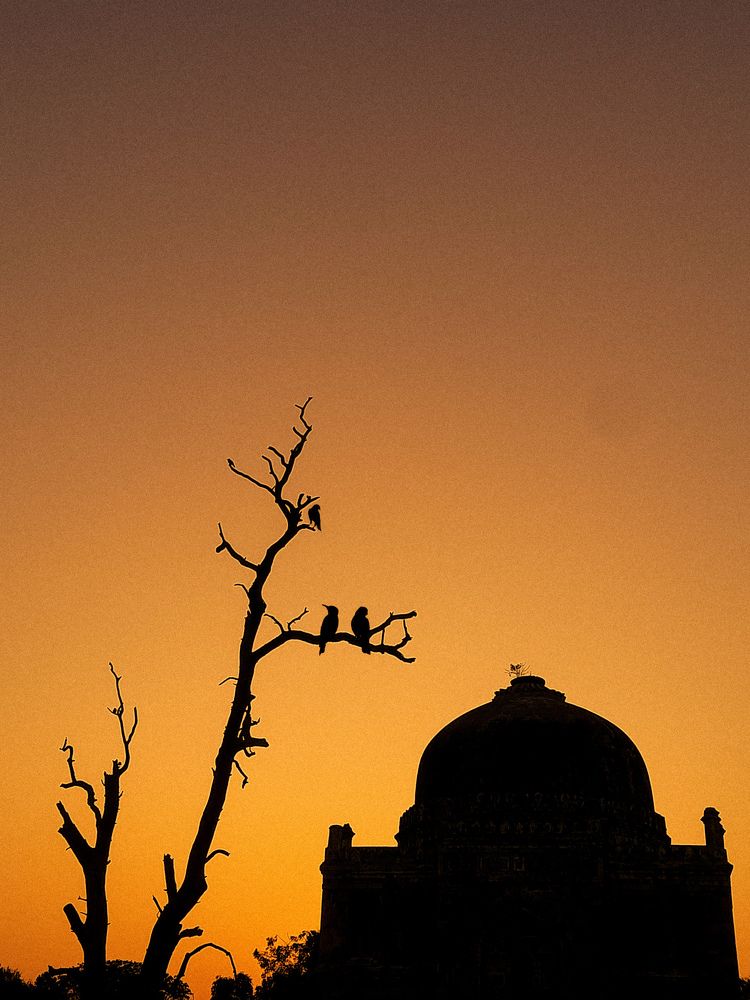 Photograph by Pawan Saini