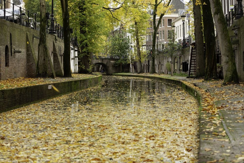 Photograph by Игорь Стретьячук