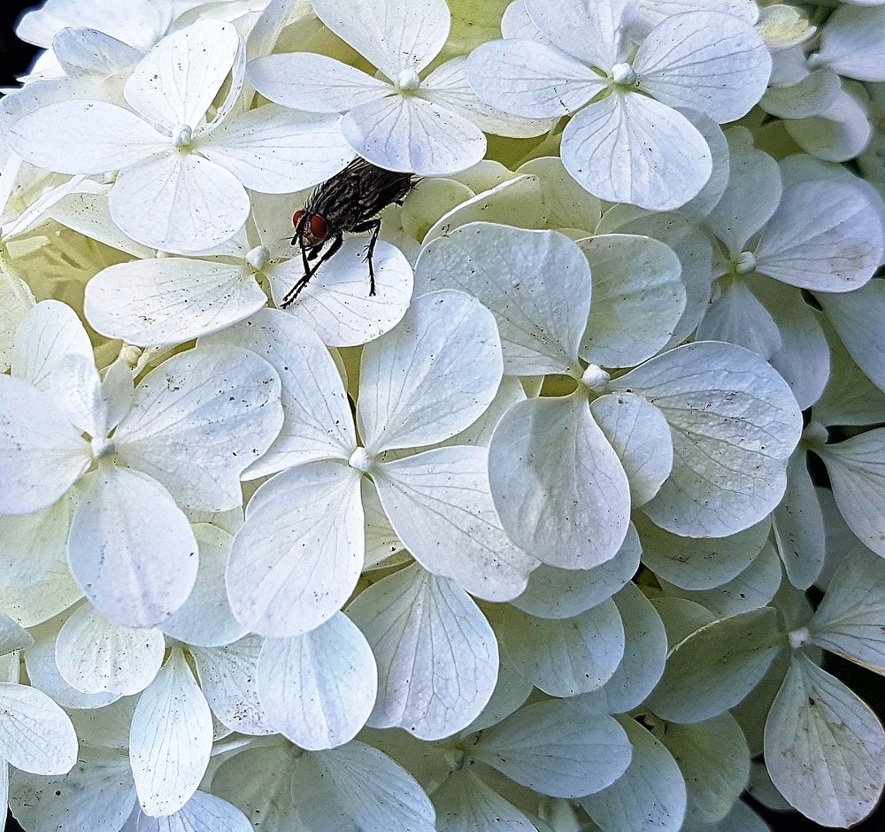 Photograph by Инга Сабанова