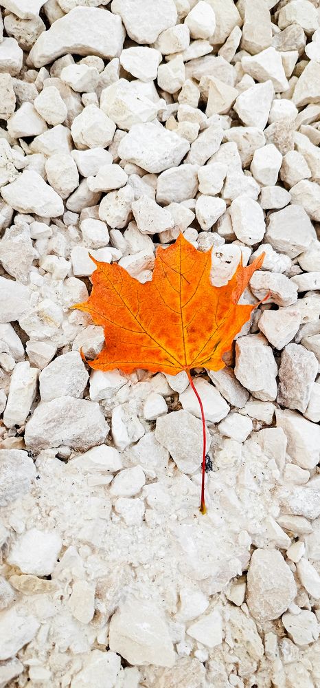 Photograph by Ekaterina Khuzhaeva