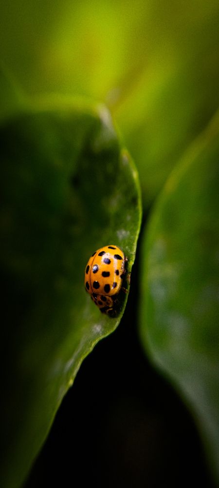 Photograph by Ekaterina Khuzhaeva