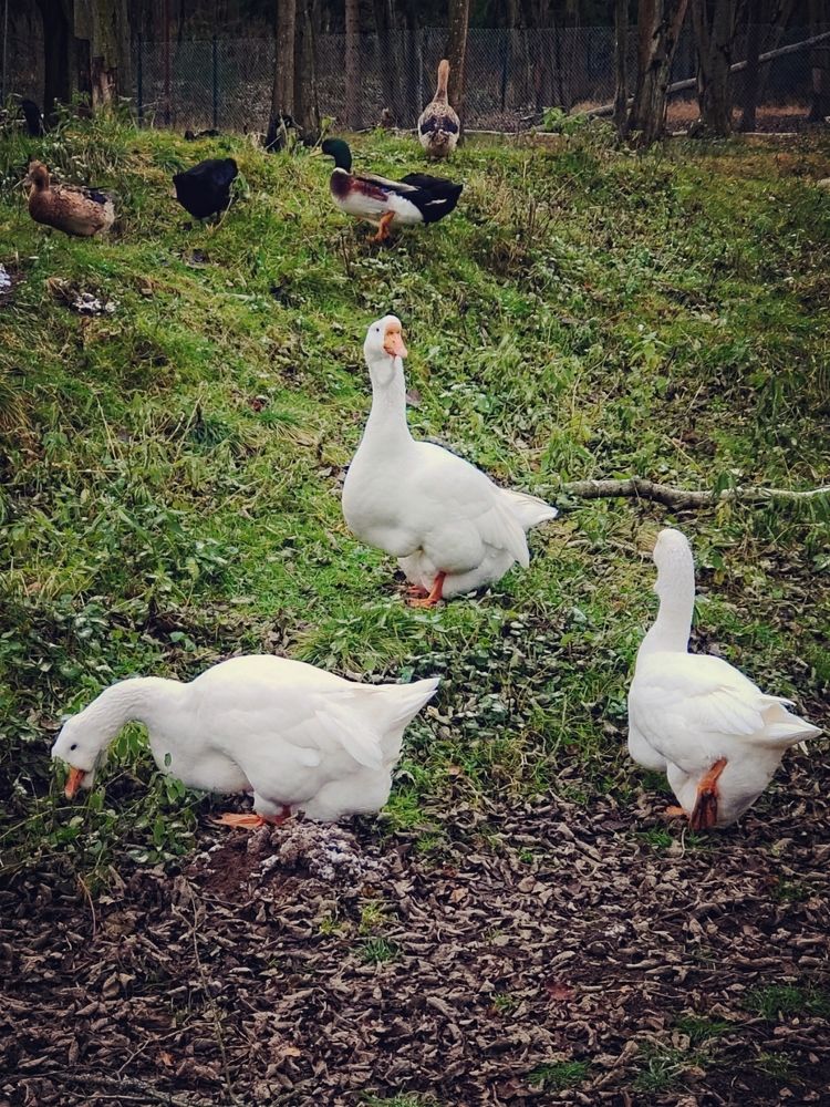 Photograph by Marina Green