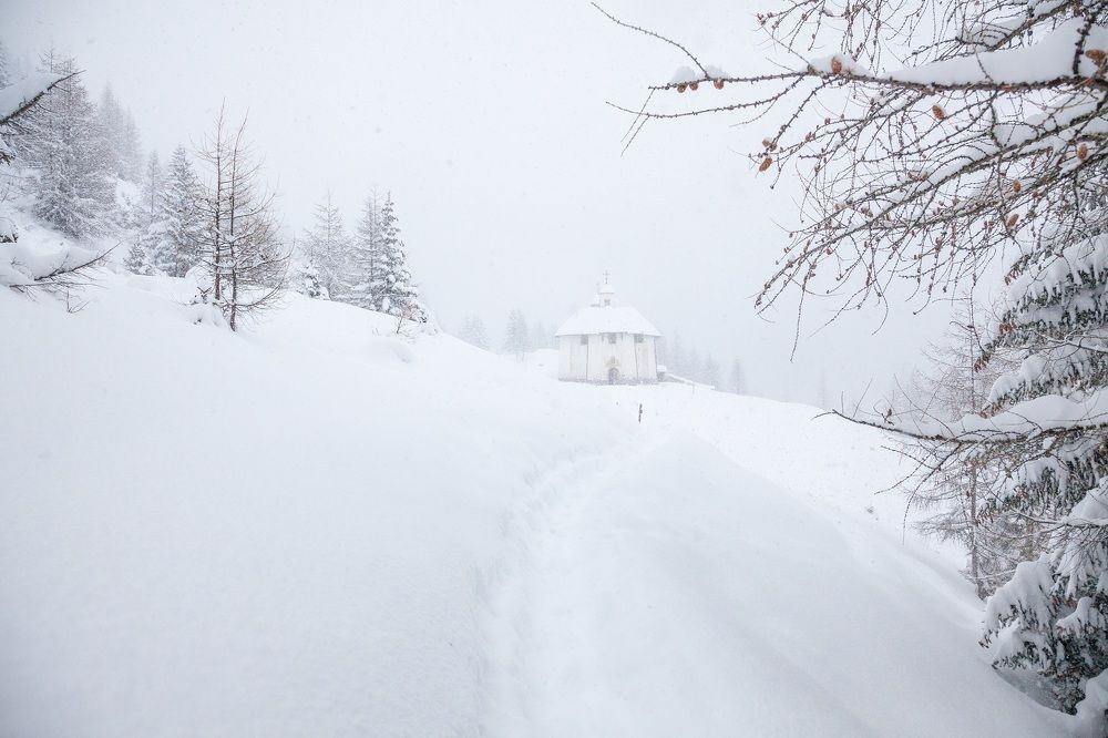 Фотография автора Anne Gabrielle Mougin