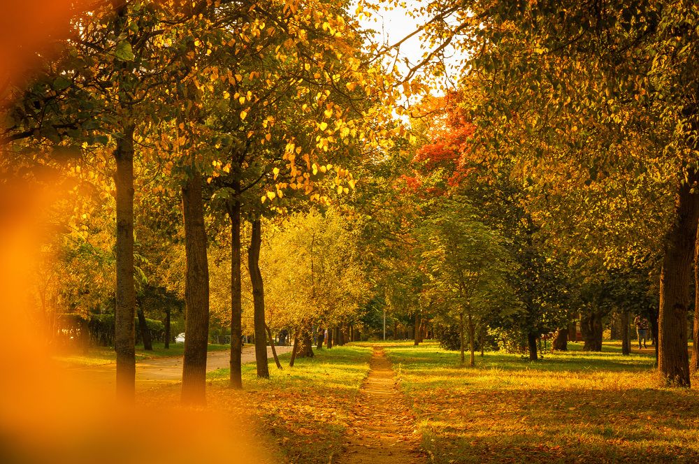 Photograph by Олеся Лагутина