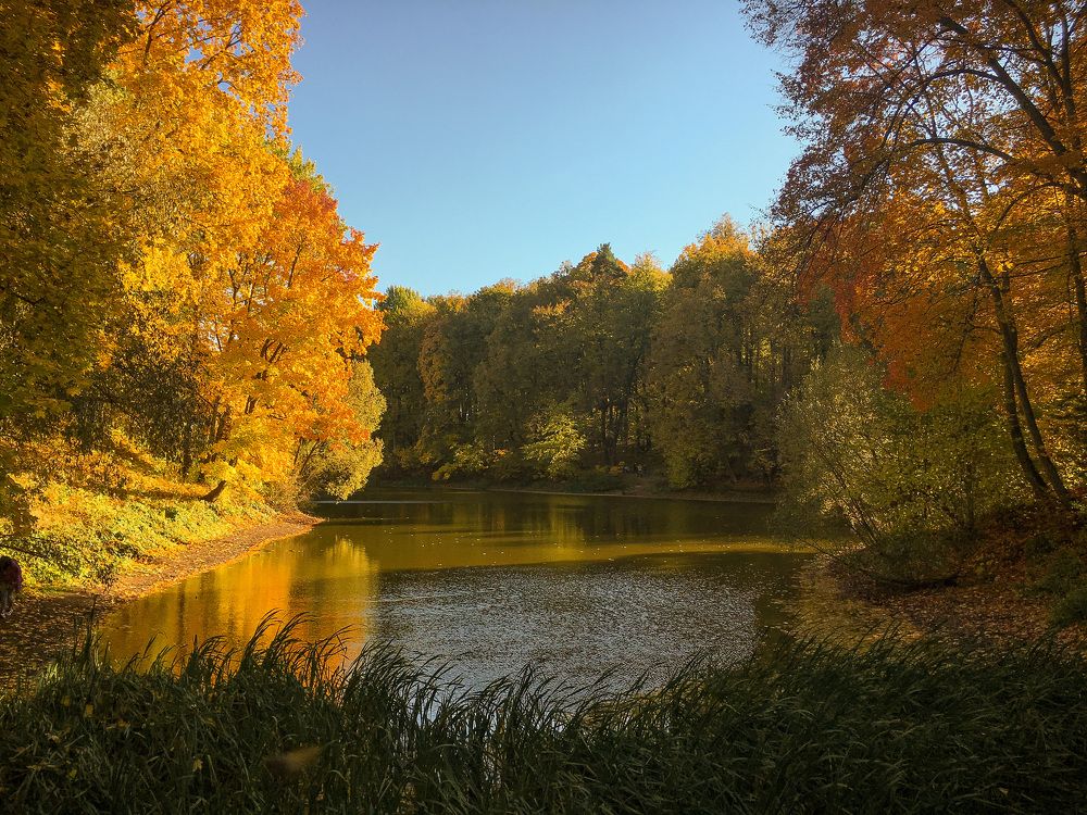 Photograph by Олеся Лагутина