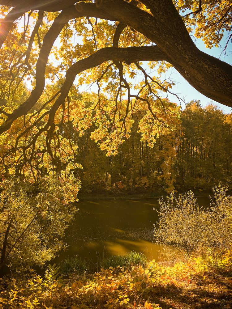 Photograph by Олеся Лагутина