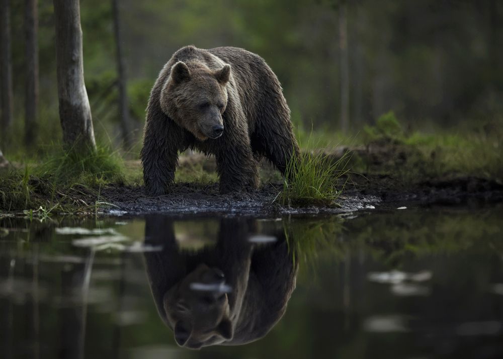 Photograph by Ernestas Balcikonis