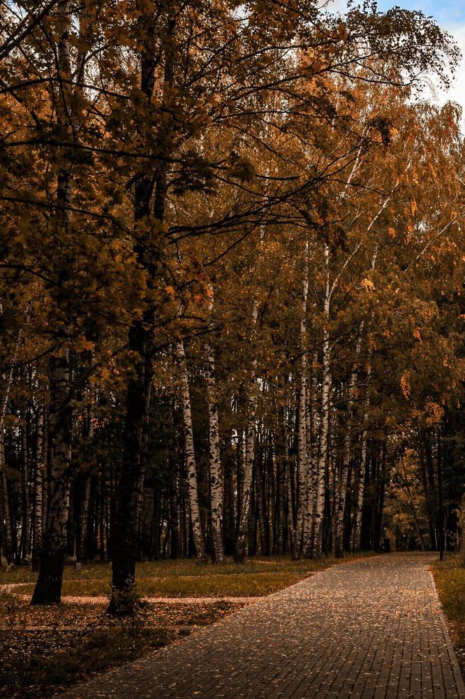 Photograph by Ekaterina Khuzhaeva