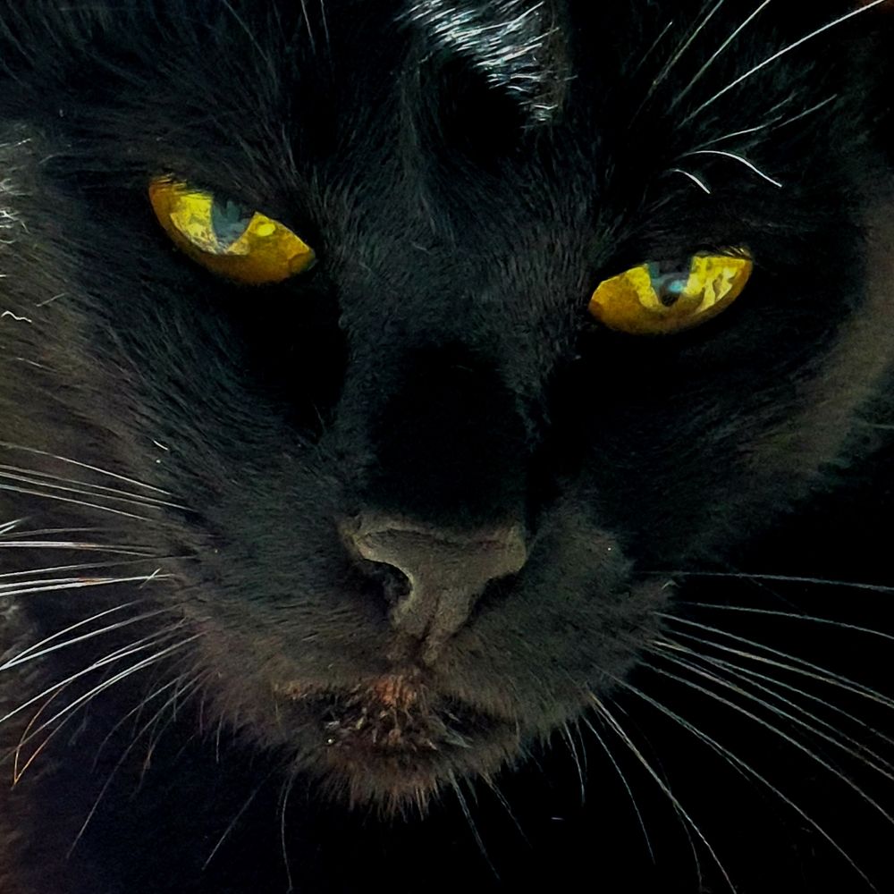 Photograph by adriana menez