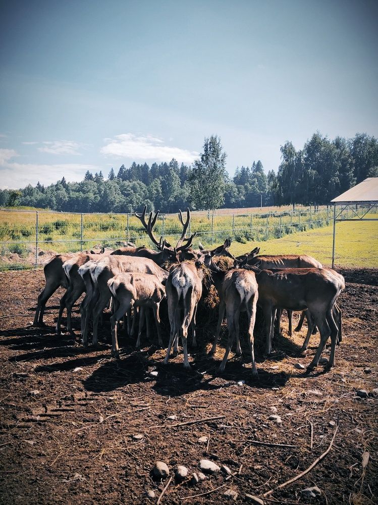 Photograph by Marina Green