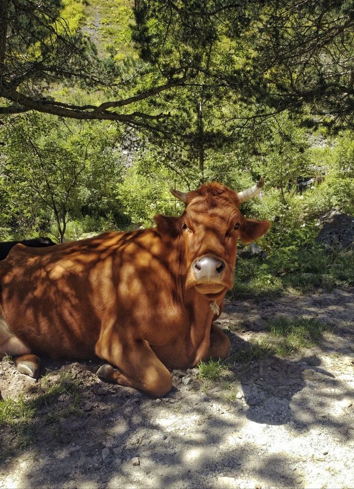 Photograph by Marina Green