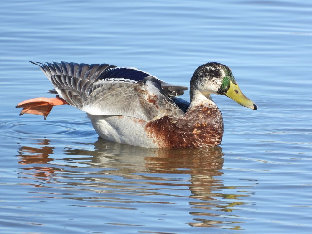 Photograph by Владимир Джерихов