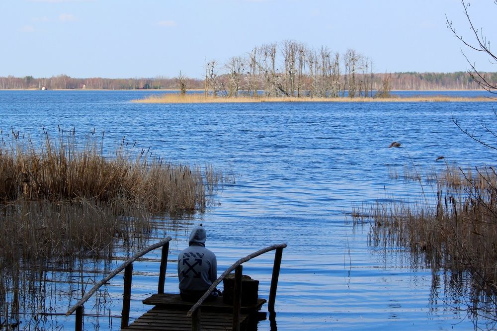 Остров бакланов