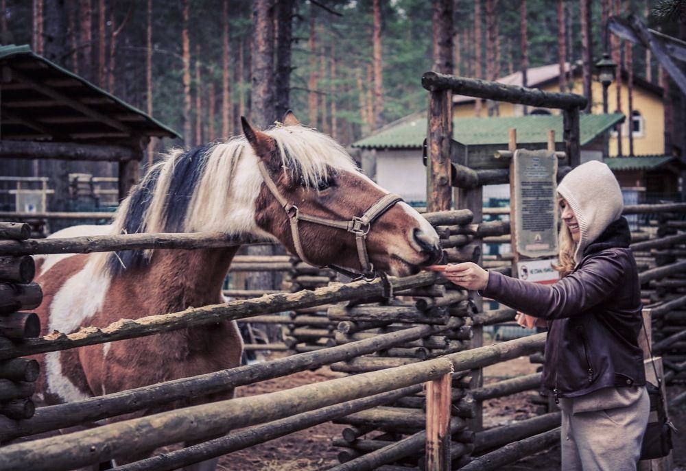 Photograph by Елена Ковалева
