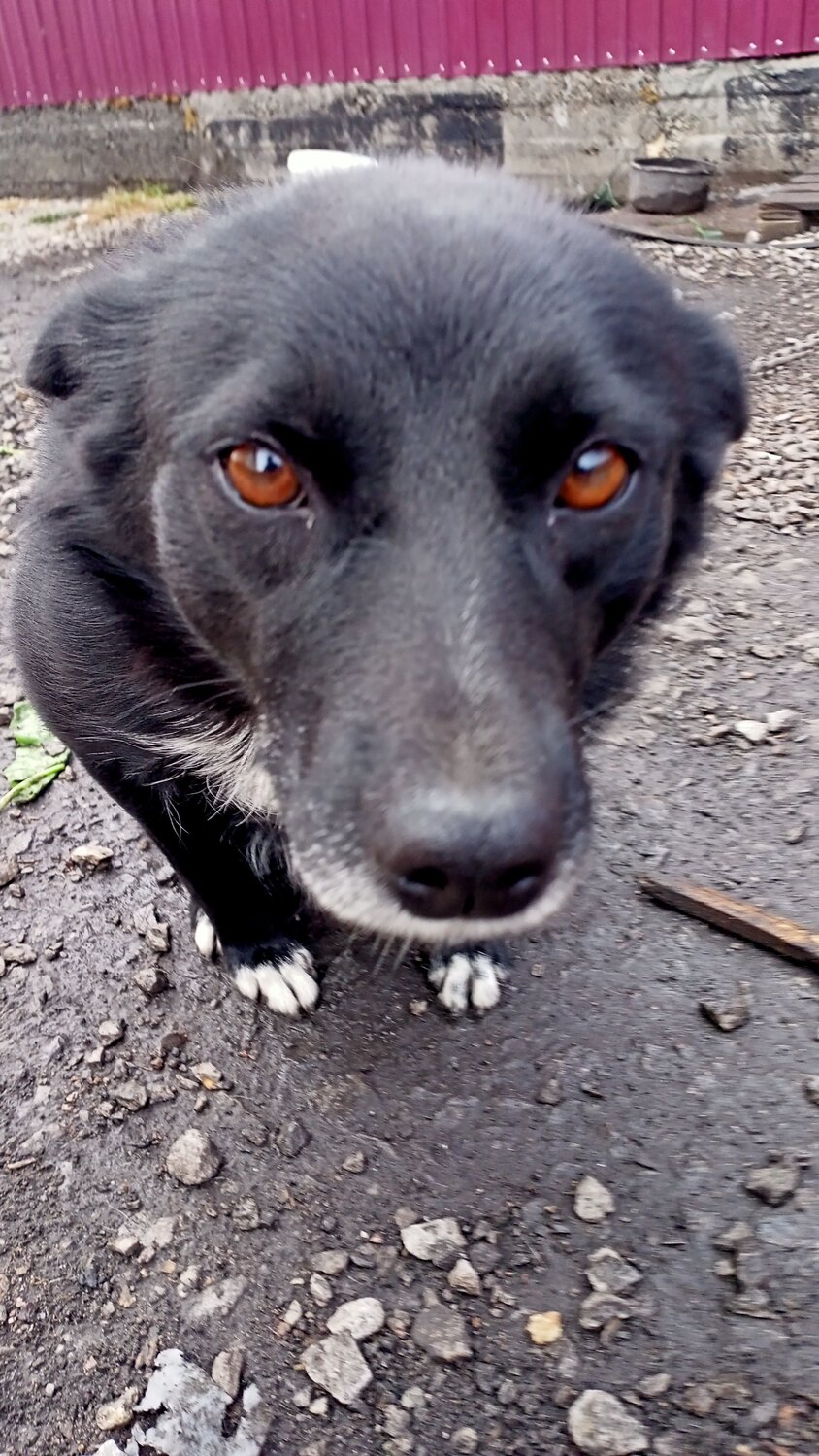 Photo #9569092