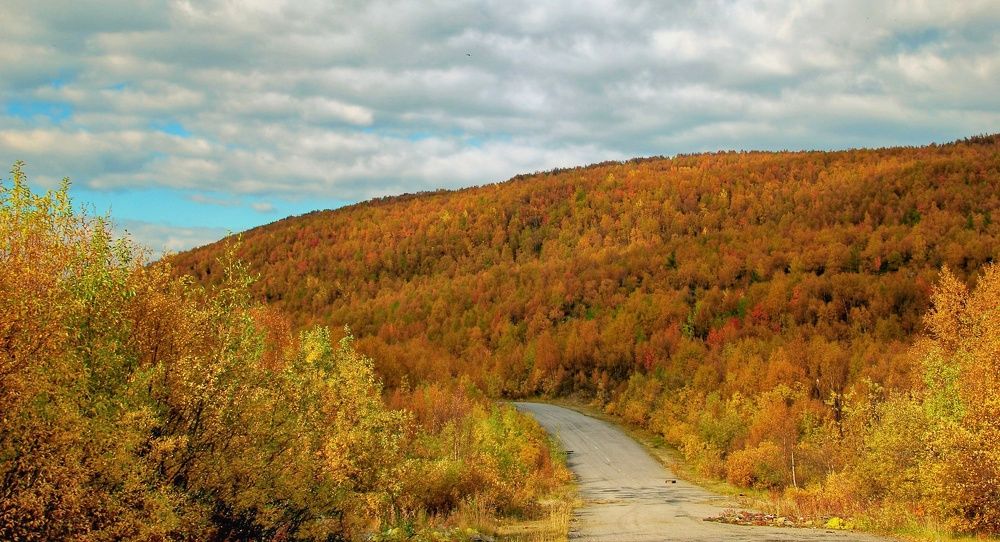 Photograph by Екатерина Сорока