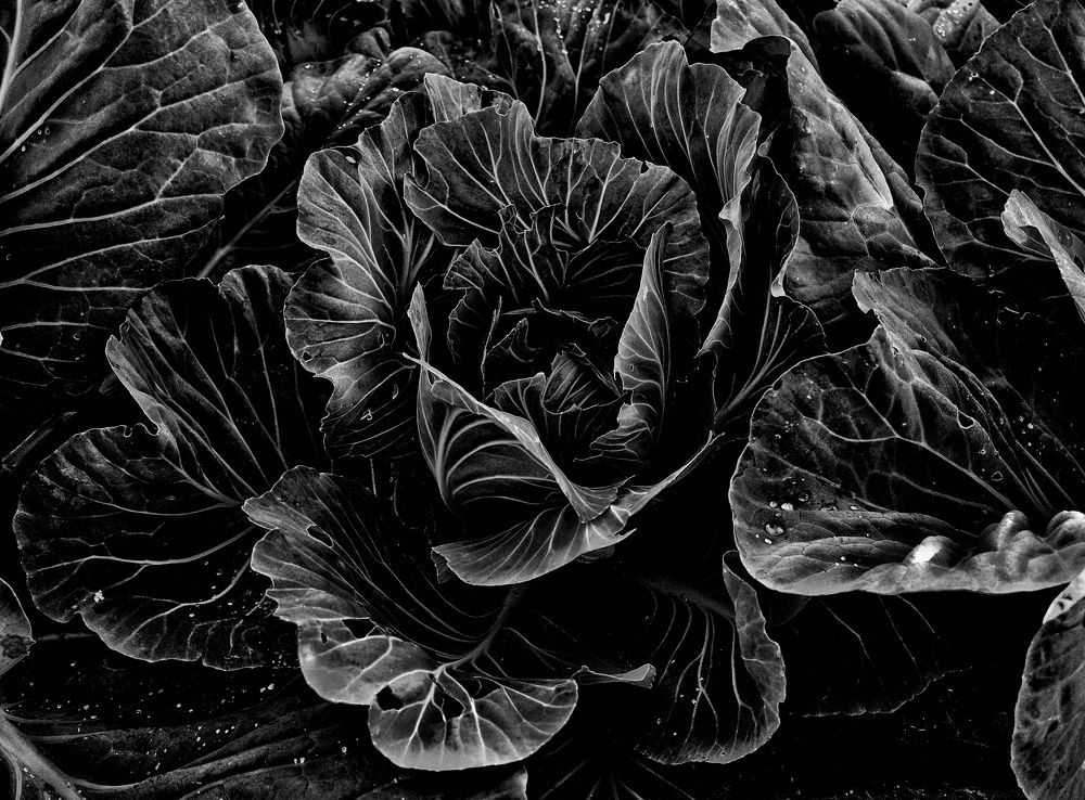 Фотография автора Olga Belikova