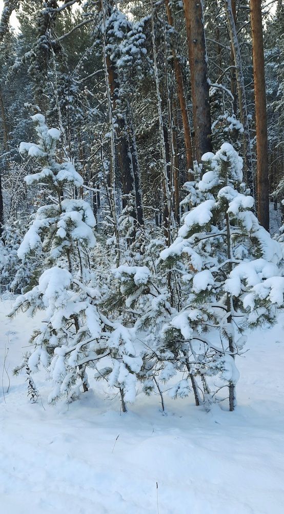 Photograph by Майя Витвицкая