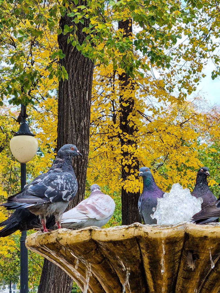 Photograph by Ольга