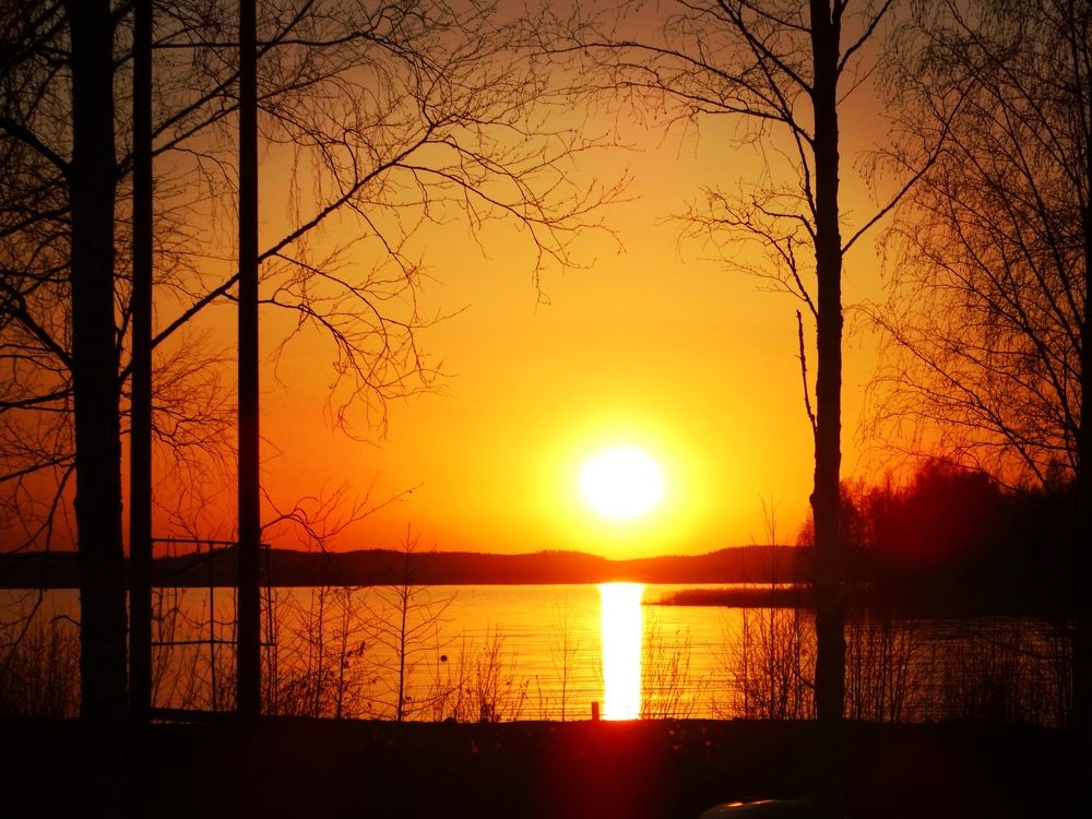 Photograph by Александра Мазур