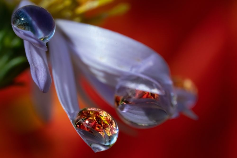 Photograph by Николай Фонарёв