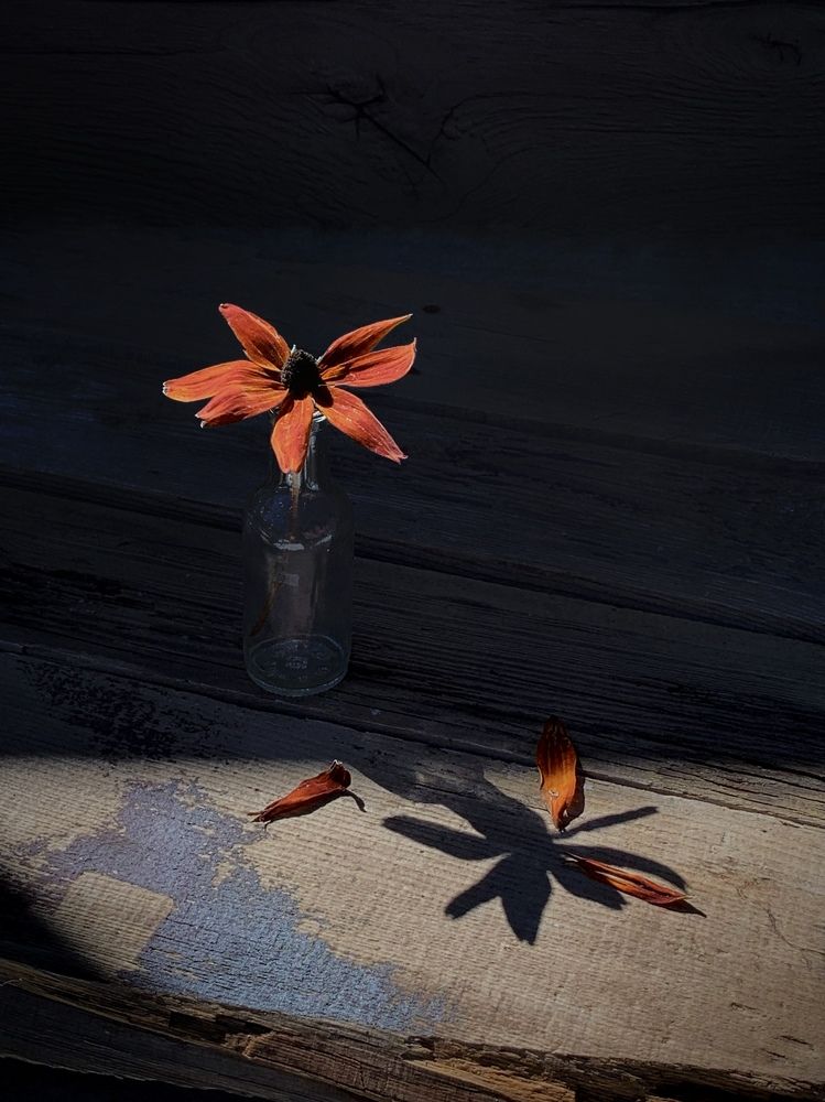 Photograph by Татьяна Семёнова