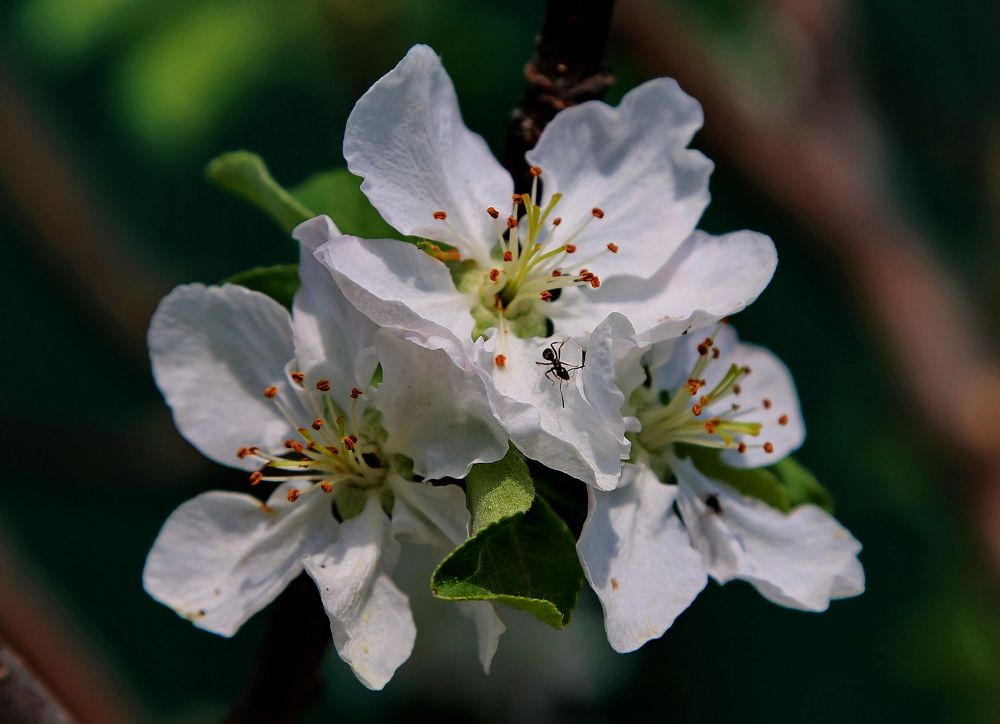 Photograph by Алексей Хазов