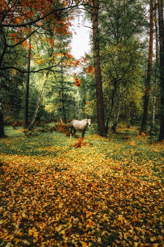 Photograph by Игорь Котиков