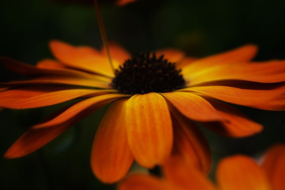 Photograph by Наталья Светлова