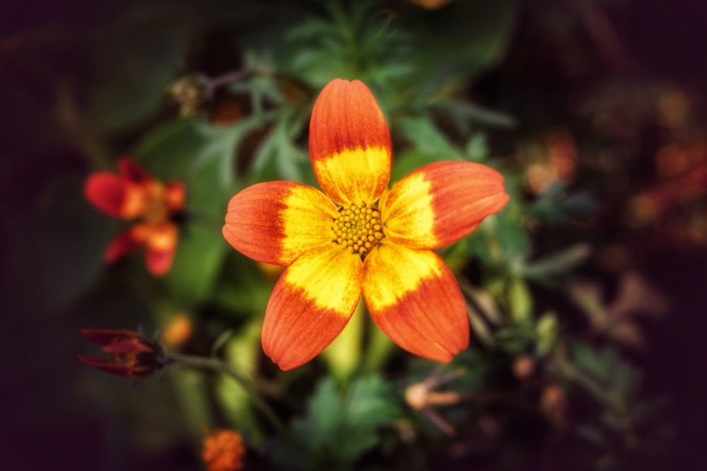 Photograph by Наталья Светлова