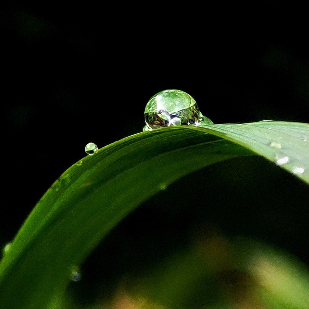 Photograph by Catherine