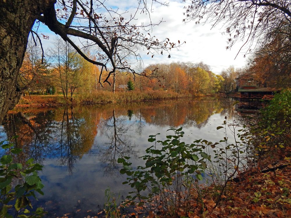 Photograph by Ольга Владимировна Мухина