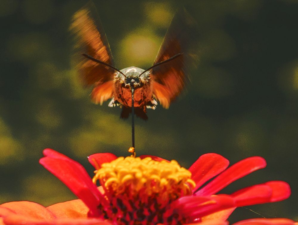 Photograph by Сергей Нестеров