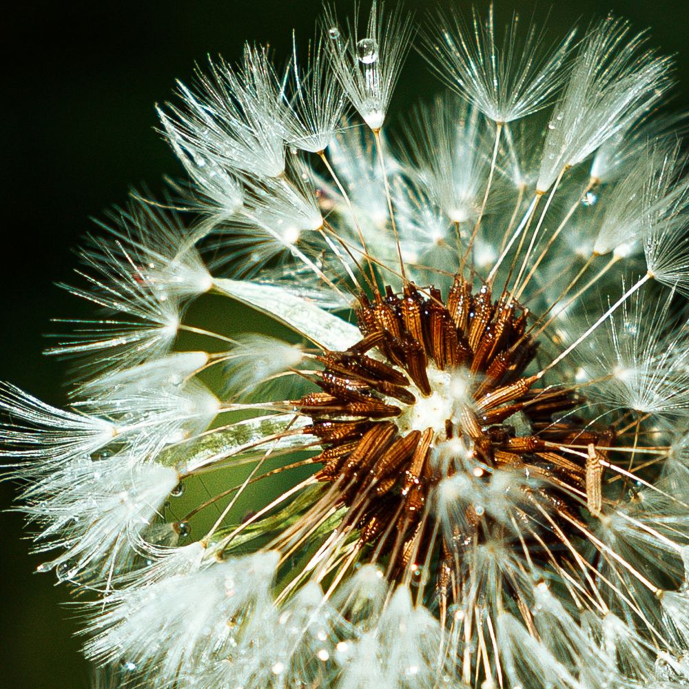 Photograph by Александр Купцов