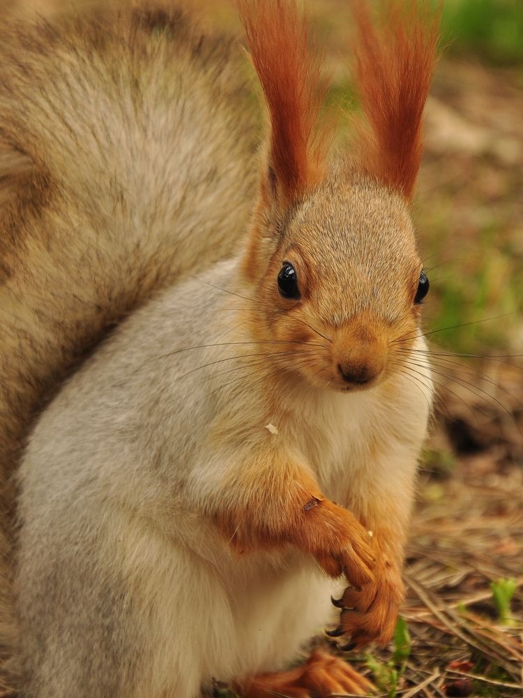 Photograph by Александр Глебов