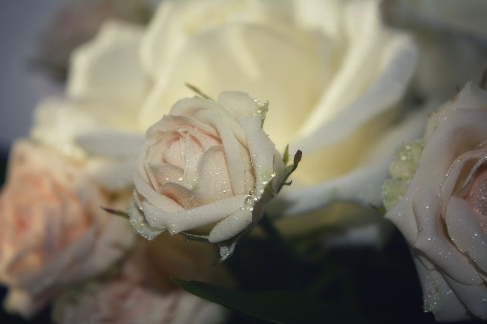 Photograph by Наталья Светлова