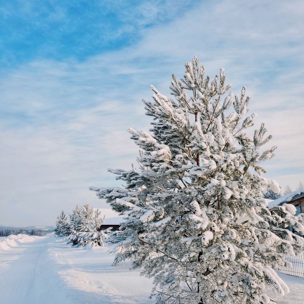 Photograph by Наталья Светлова