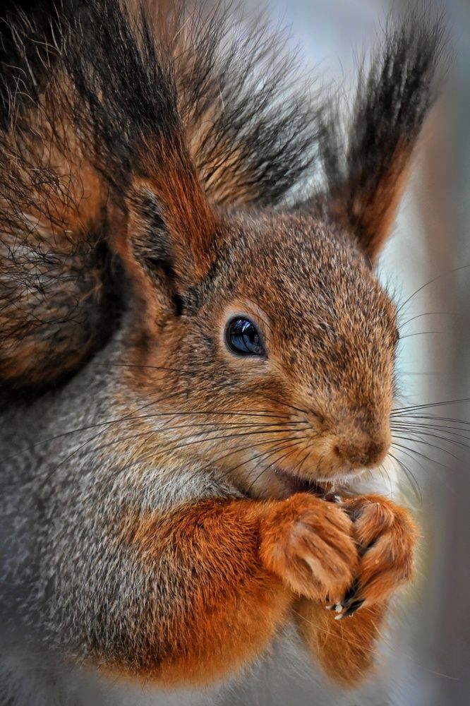 Фотография автора Ola La